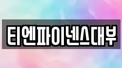 티엔파이넨스대부