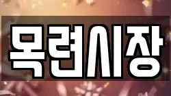 목련시장