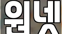 원넷