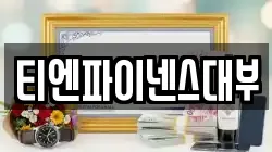 티엔파이넨스대부