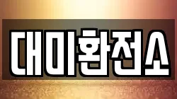 대미환전소