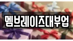 멤브레이즈대부업