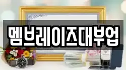 멤브레이즈대부업