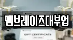 멤브레이즈대부업