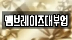 멤브레이즈대부업