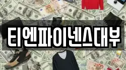 티엔파이넨스대부