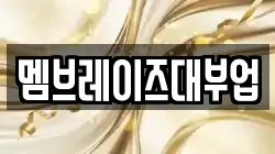 멤브레이즈대부업