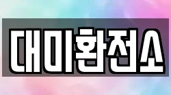 대미환전소