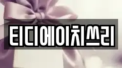 티디에이치쓰리