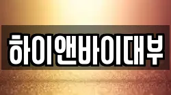 하이앤바이대부