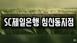 SC제일은행 침산동지점