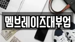멤브레이즈대부업