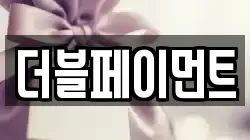 더블페이먼트