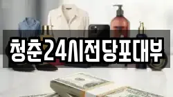 청춘24시전당포대부