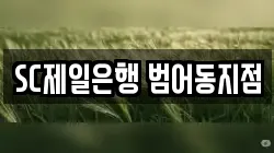 SC제일은행 범어동지점