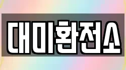 대미환전소