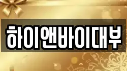 하이앤바이대부