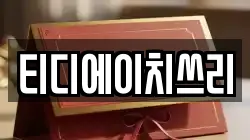 티디에이치쓰리