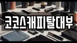 코코스캐피탈대부