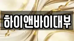 하이앤바이대부