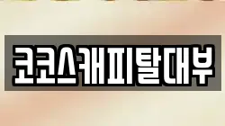 코코스캐피탈대부