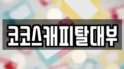 코코스캐피탈대부
