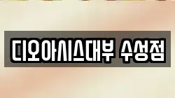 디오아시스대부 수성점