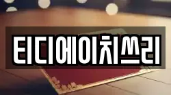 티디에이치쓰리