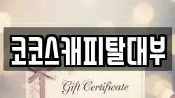 코코스캐피탈대부