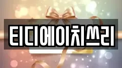 티디에이치쓰리