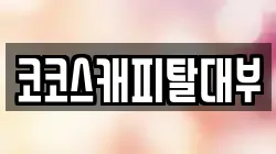 코코스캐피탈대부