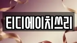 티디에이치쓰리