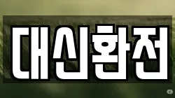 대신환전