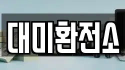 대미환전소