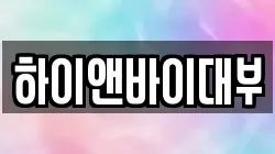 하이앤바이대부