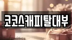코코스캐피탈대부