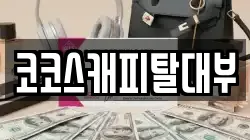 코코스캐피탈대부