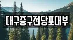 대구중구전당포대부