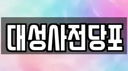 대성사전당포
