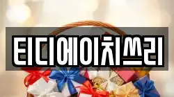 티디에이치쓰리