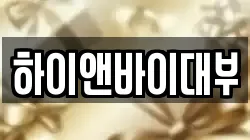 하이앤바이대부