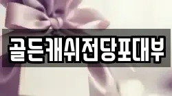 골든캐쉬전당포대부