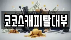 코코스캐피탈대부