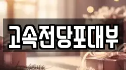 고속전당포대부