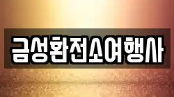 금성환전소여행사