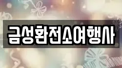 금성환전소여행사