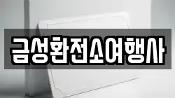 금성환전소여행사