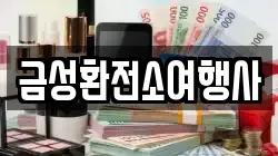 금성환전소여행사