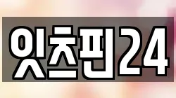 잇츠핀24