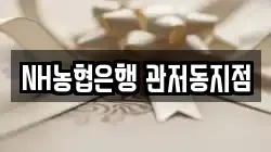NH농협은행 관저동지점